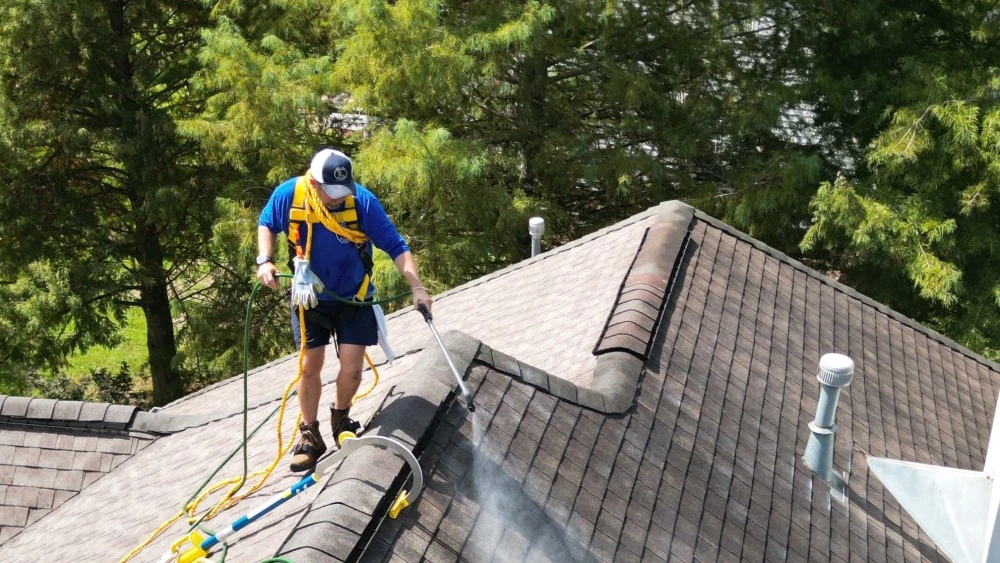 Roof Rejuvenation