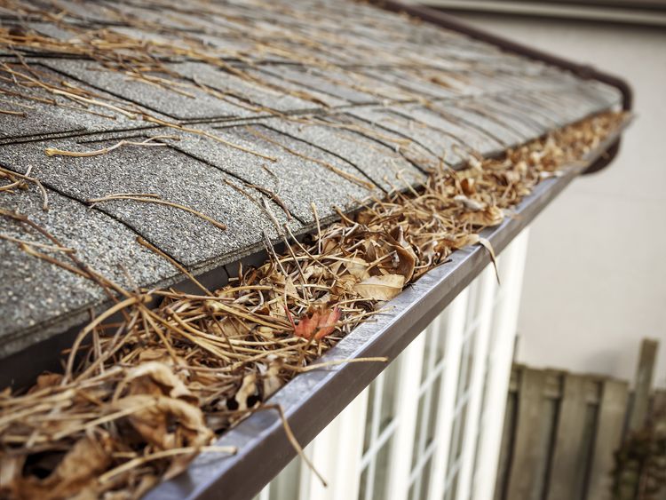 Keeping Roofs Clean and Debris-Free: Prolonging the Life of Your Roof